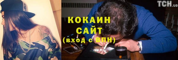 шишки Новозыбков
