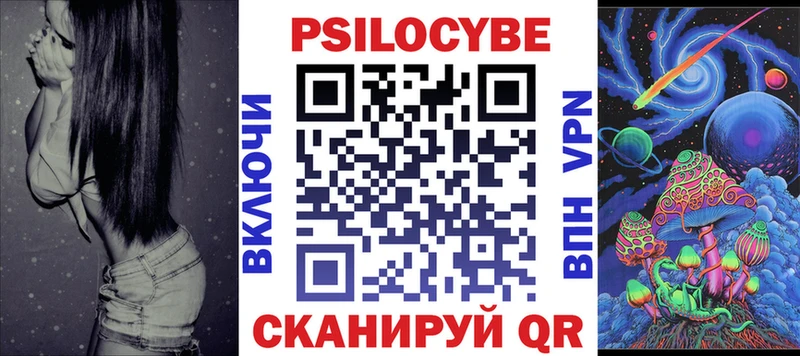Купить где  Ардатов  Галлюциногенные грибы Psilocybe 